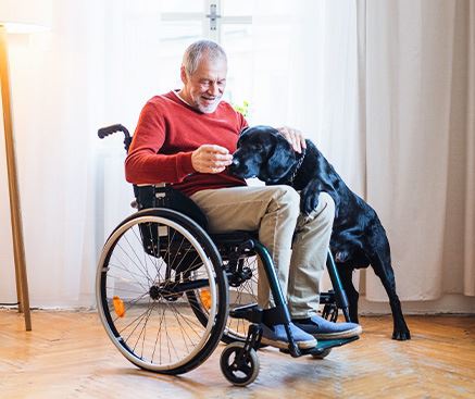 Wheelchair Ramps   Photo