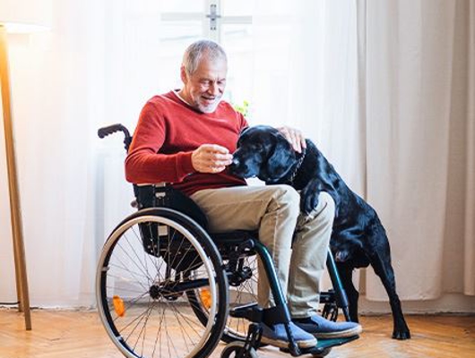 Wheelchair Ramps  Photo